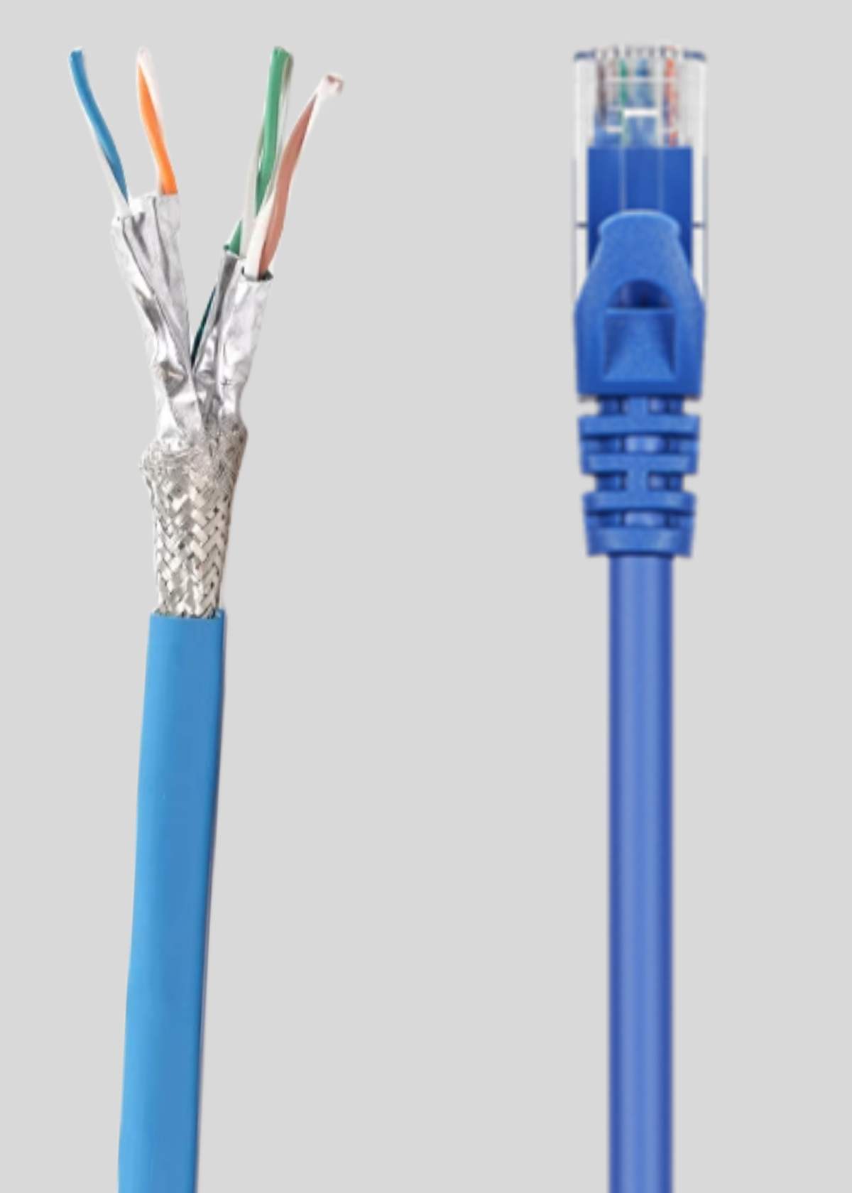 Network Cable